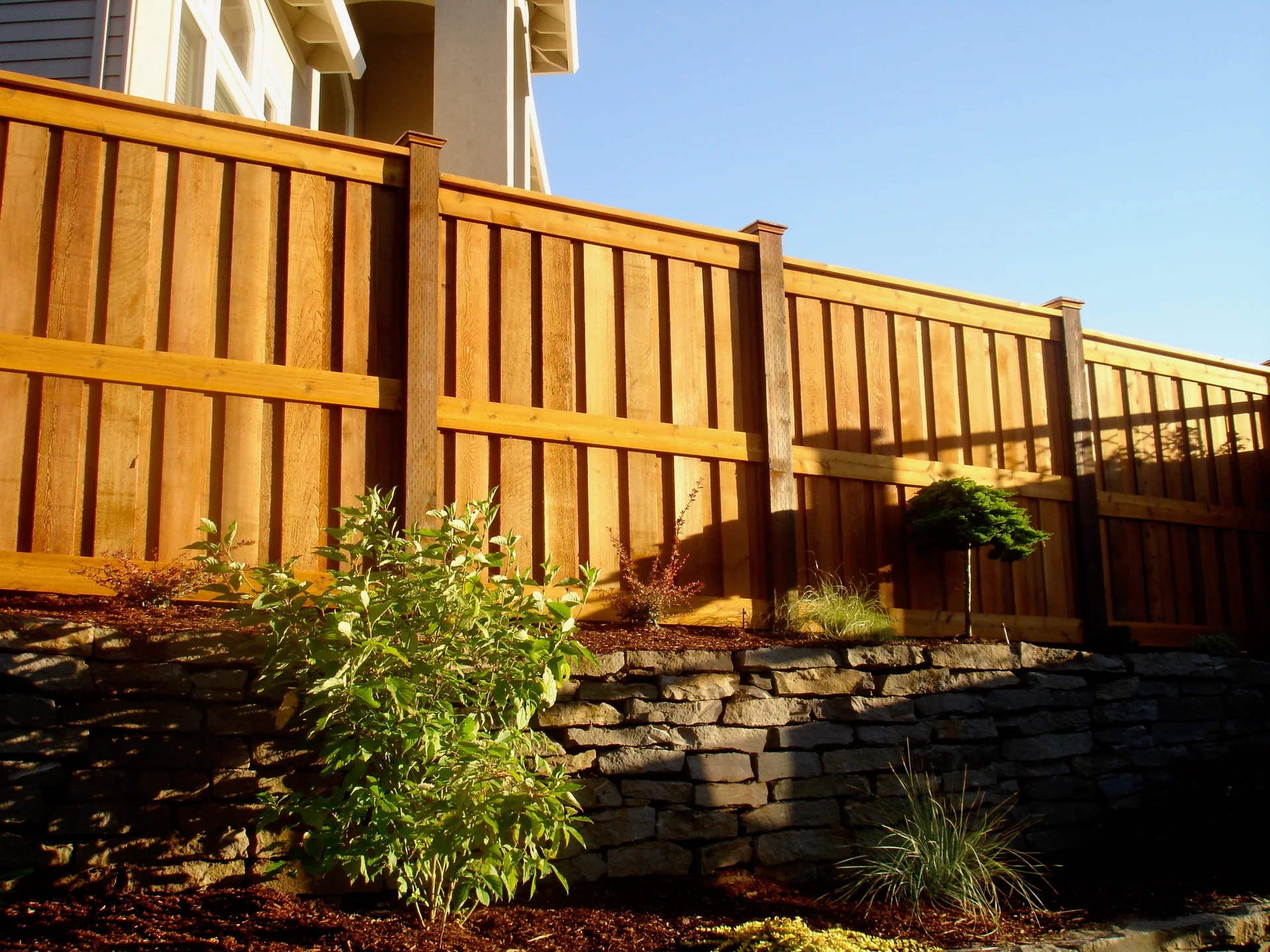 Completed neighbor-side view of a framed cedar privacy fence